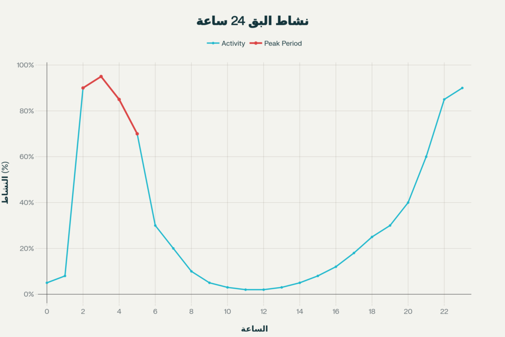 الأوقات المحددة لقرص البق